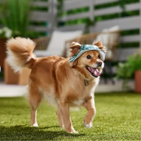 Fresco Dog & Cat Bucket Hat Palm Leaf  Short Brimmed Medium/Large - Picture 8 of 11